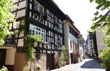 From Strasbourg: Black Forest Day Trip