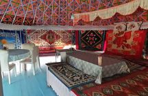 Private Day Tour to Nanshan Pasture and Tianshan Grand Canyon