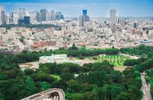 Discover Japanese Politics Over a Coffee in Tokyo