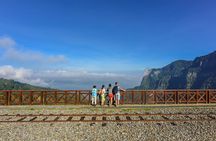  Alishan Taiwan 2 Day Private Tour from Taipei