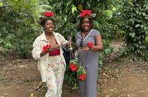 Zanzibar Spice Farm Tour and Stone Town Historical Walking Tour