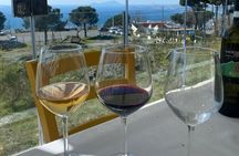 Pompeii Ruins Tour with Local Wine & Light Lunch from Naples