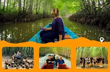 From Ho Chi Minh: Can Gio Trek – Monkey Island & Crocodile Farm