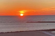 Experience Doha Safari Sunrise Serenity and Desert Thrills