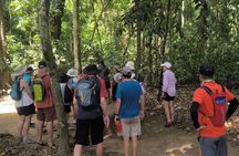 Puerto Princesa Underground River Guided Trekking Tour