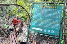 Puerto Princesa Underground River Guided Trekking Tour