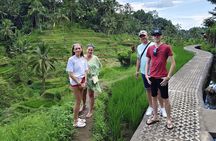 Bali Car Charter with Driver for Customize Tour 8 Hours