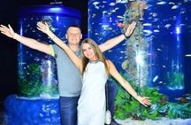 Hurghada Grand Aquarium Adventure with Convenient Transfers