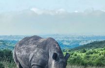 Nairobi National Park Tour Half Day