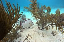 Exceptional Snorkel in two of Belize's Best Marine Parks