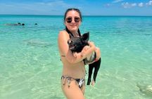 Nassau Swimming Pigs and Private Beach Club Escape