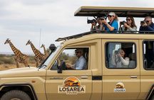 Luxury Tanzania Safari with Expert Guides and Custom Itineraries