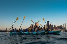 Sunset Harbour Bridge Kayak Escape