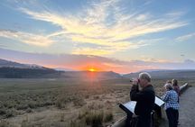 Yellowstone's Lamar Valley & Picnic With Wildlife Guide