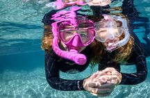 Pre-Season Special Manatee Snorkel Tour in Crystal River