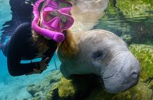 Pre-Season Special Manatee Snorkel Tour in Crystal River