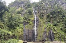 Premium Tour DE Tahiti, EN Half Day Privatised