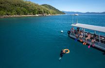 Two Islands, One Day - Fitzroy and Green Islands From Cairns