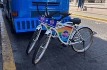 Taco Bike Tour in Mazatlan