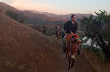 Horseback Riding in Santiago with Andes Views and Hotel Pickup