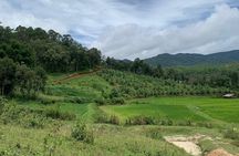 Care Pride Elephants: Full-Day Tour Experience