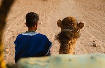 Marrakech: Agafay Desert Camel Ride & Dinner, Fire Show & sunset