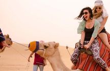 Marrakech: Agafay Desert Camel Ride & Dinner, Fire Show & sunset