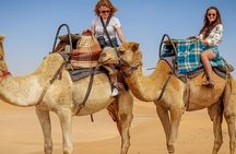 Marrakech: Agafay Desert Camel Ride & Dinner, Fire Show & sunset