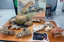 Cradle of Humankind Tour: Sterkfontein Caves & Maropeng