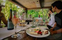 Private Vineyard and Wine Testing Tour From Guanajuato