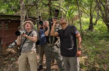 Safari-Bird Photo Tour in Monteverde. PRIVATE!