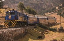 Machu Picchu by Train: Full-Day Tour from Cusco