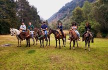 Horseback Riding in the Forest and Breakfast in Cabin