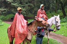 Horseback Riding in the Forest and Breakfast in Cabin