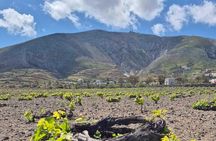 Terroir Santorini-Grand Wine Experience