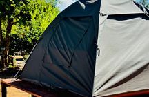 2 Day Tlou Camping Safari In Pilanesberg National Park 