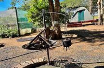 2 Day Tlou Camping Safari In Pilanesberg National Park 