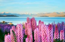 Lake Tekapo Private Day Trip from Queenstown
