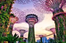 Small Group Nocturnal Singapore Tour: Night Cruise & Light Shows 