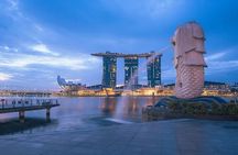 Small Group Nocturnal Singapore Tour: Night Cruise & Light Shows 