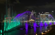 Small Group Nocturnal Singapore Tour: Night Cruise & Light Shows 