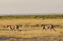 3 Days Masai Mara Safari