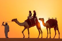 Evening Desert Safari with 4x4 Ride Live Show and BBQ