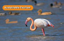 The Original Albufera Tour: Barraca, Boat Ride & Local Guide
