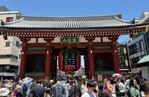 Tokyo Private Sightseeing Tour by Car with Local Guide