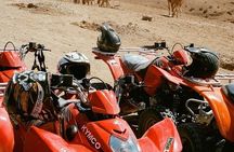 Agafay Desert Dinner Show with Quad Bike and Sunset Camel Ride