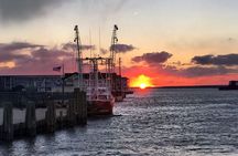 Narrated Sunset Wild Pony Cruise in Chincoteague