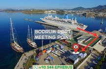 Private Ephesus Tour from Bodrum Port with Local Lunch