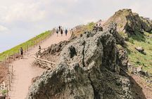 Priority Access Pompeii & Mt. Vesuvius Full day from Sorrento