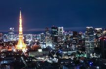 Real Tokyo Runner Club : Daikoku Car Meet Night Tour with JDM Car